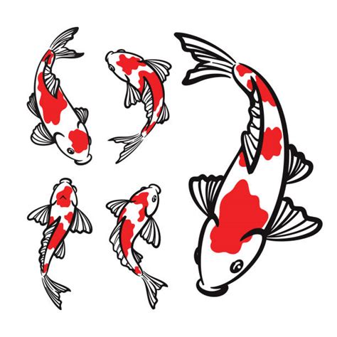 1,300+ Koi Fish Outline Stock Illustrations, Royalty.